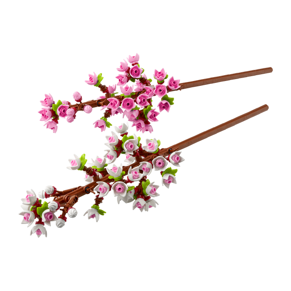 FLOWER 10周年展 Mémorie éternelle セット Flores de Cerezo - Felix Online