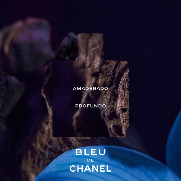 BLEU DE CHANEL PARFUM VAPORIZADOR - Felix Online