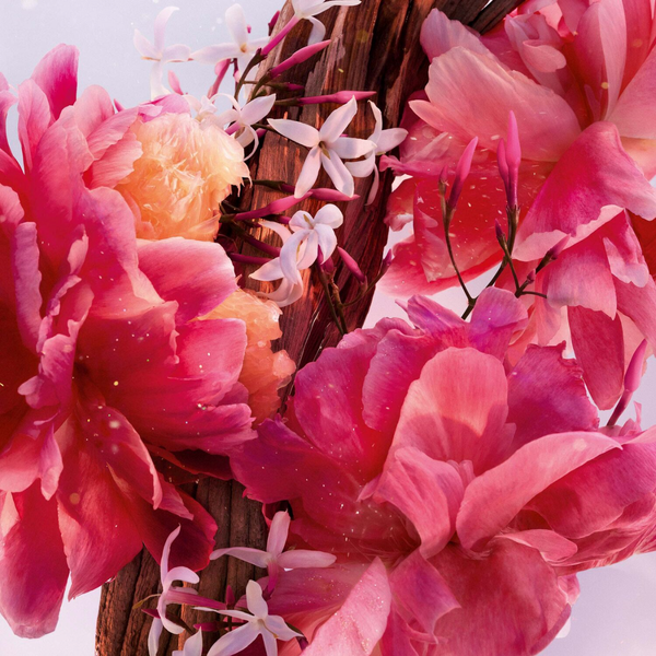 DIOR Miss Dior Parfum - Felix Online