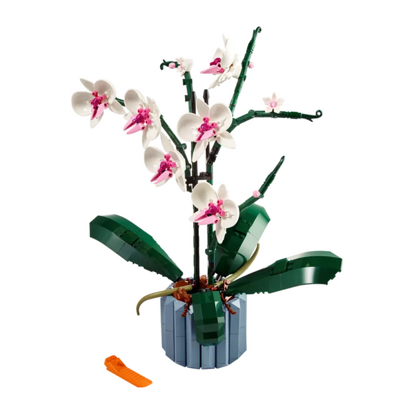 Orquídeas - Felix Online