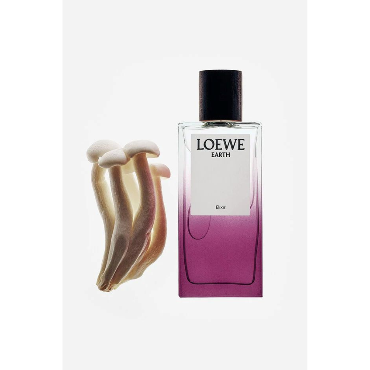 Loewe | Earth Elixir