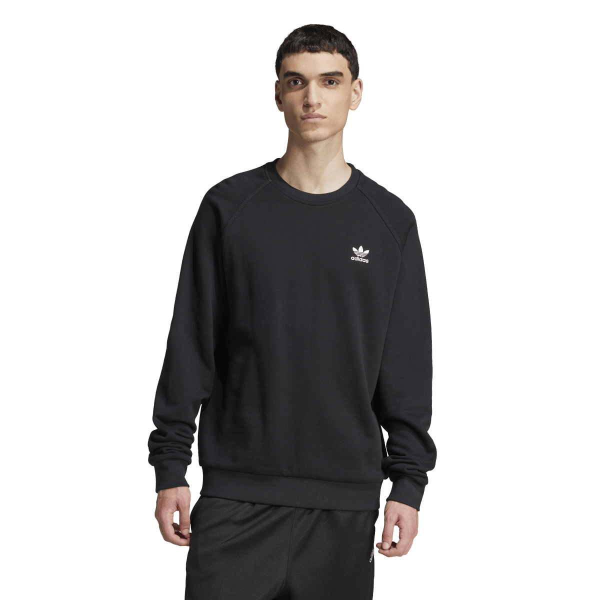 Adidas Originals | Sudadera Trifolio Essentials Felpa Francesa Cuello Redondo