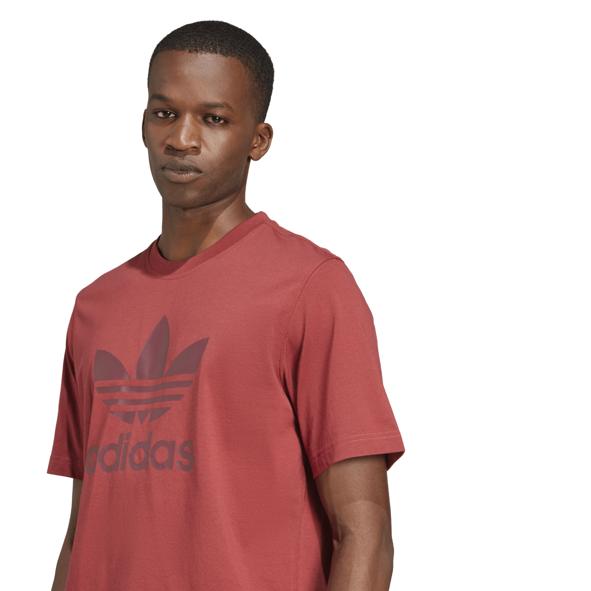 Adidas Originals | Camiseta Adicolor Trifolio