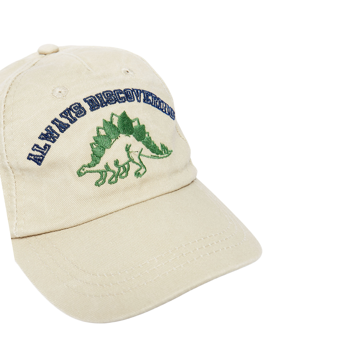 Gorra Bordado Dinosaurio