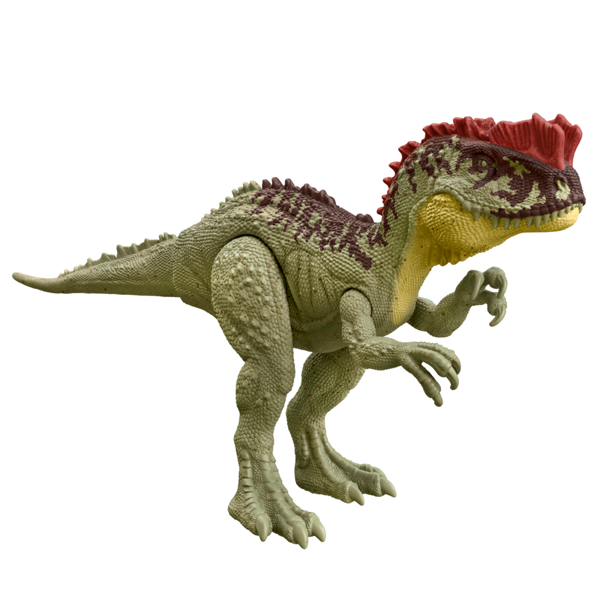 Jurassic World Pachycephalosaurus de 12&quot;