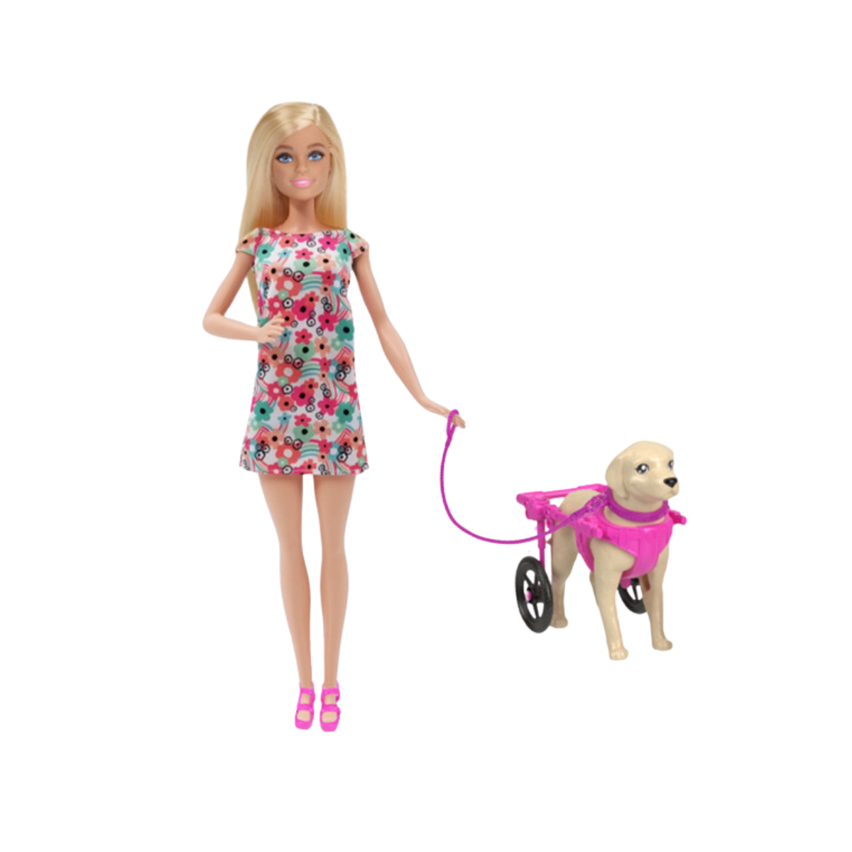 Barbie Paseo de Perrito con Silla de Ruedas