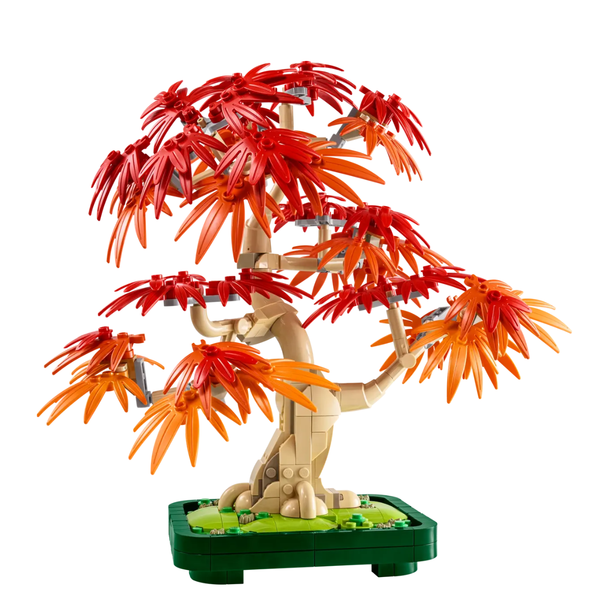 1/12レッドソニア　REDSONIA 510JjYqaCZL.jpg_BO30,255,255,