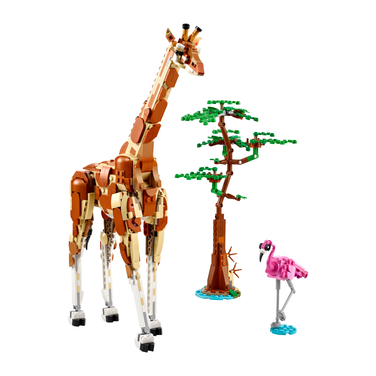 Safari de Animales Salvajes