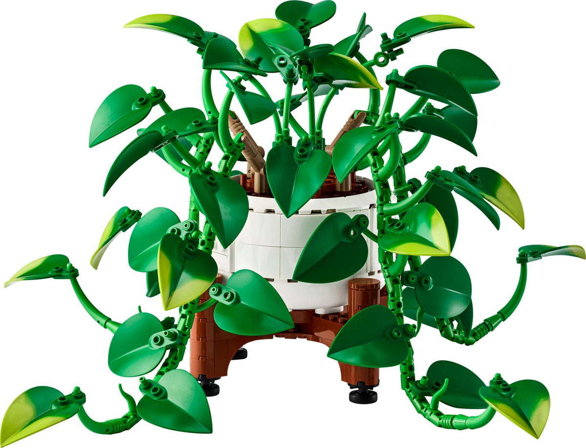 LEGO Botanicals | Potos dorado colgante para construir, 372 piezas