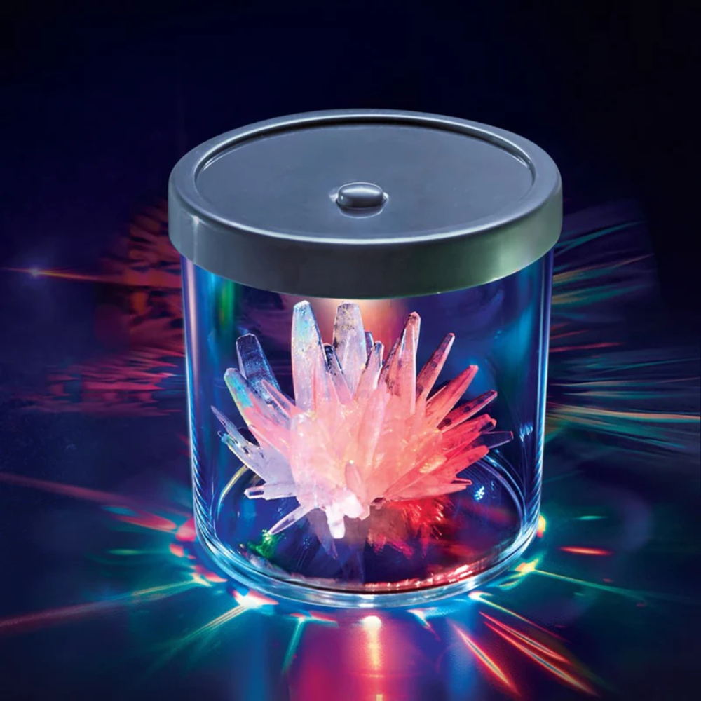 4M | Vitrina para el Cultivo de Cristales con Cambio de Color