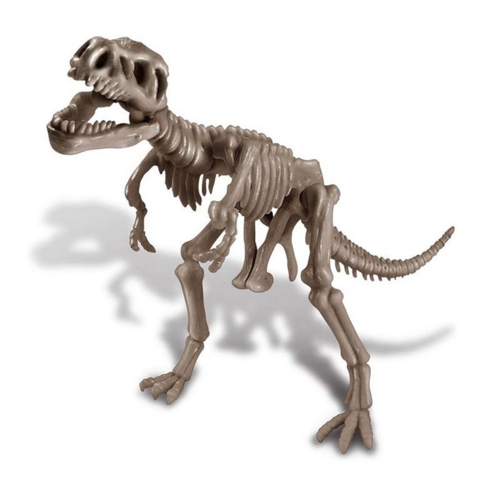 4M | Kit de Excavación de Tyrannosaurus Rex