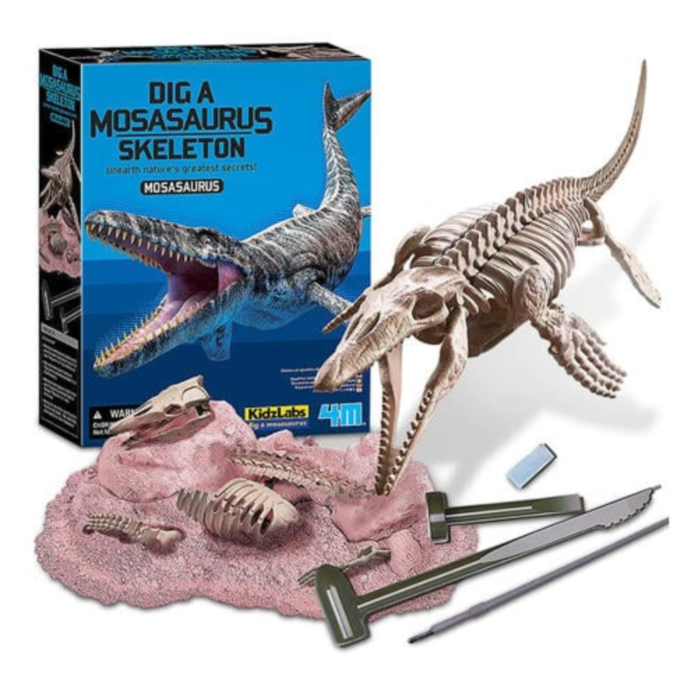 4M | Kit de Excavación de Mosasaurus
