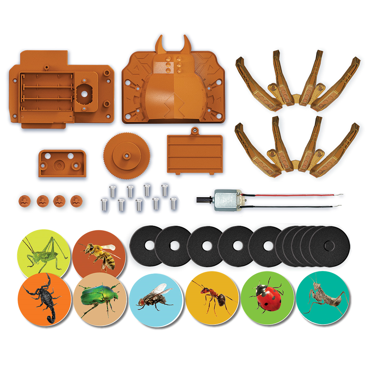 Kidz Robotix Disc Launcher Spider Bot
