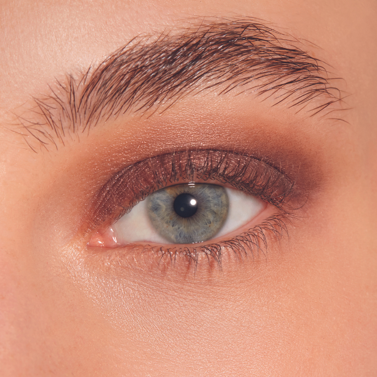 Carolina Herrera Sombra de Ojos Metallic