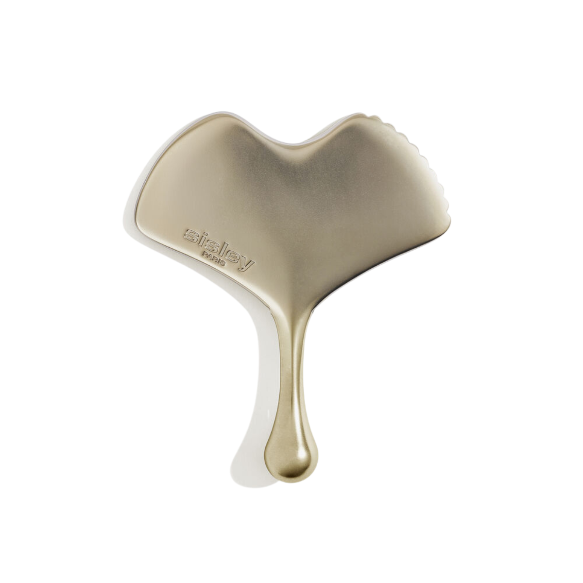 Supremÿa Gingko Gua Sha