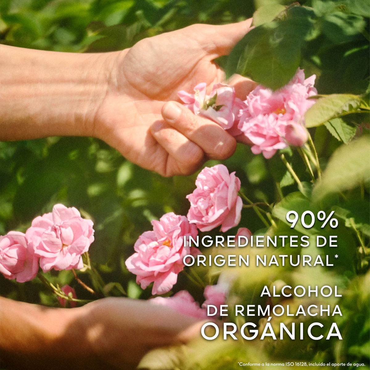 Guerlain | La Petite Robe Noire Eau De Toilette