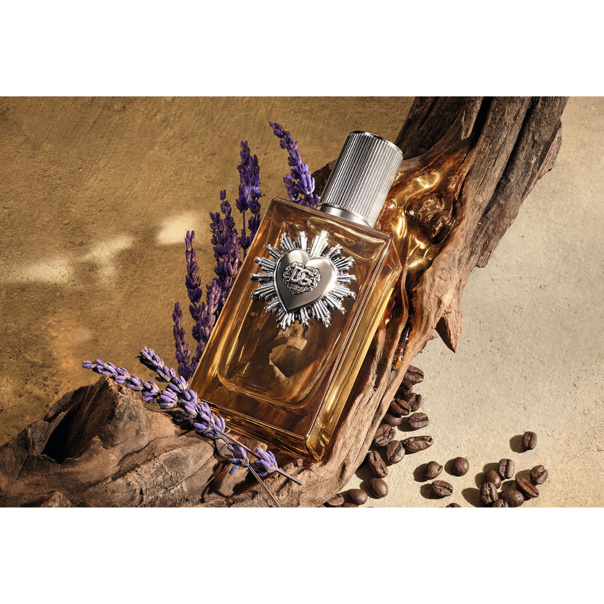 Dolce &amp; Gabbana | Devotion Male Parfum