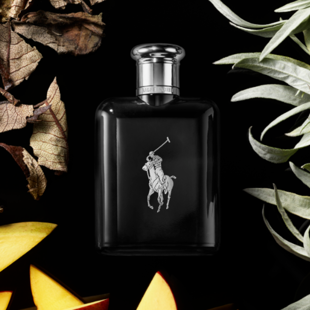 Polo Black Ralph Lauren Eau de Toilette Felix Online