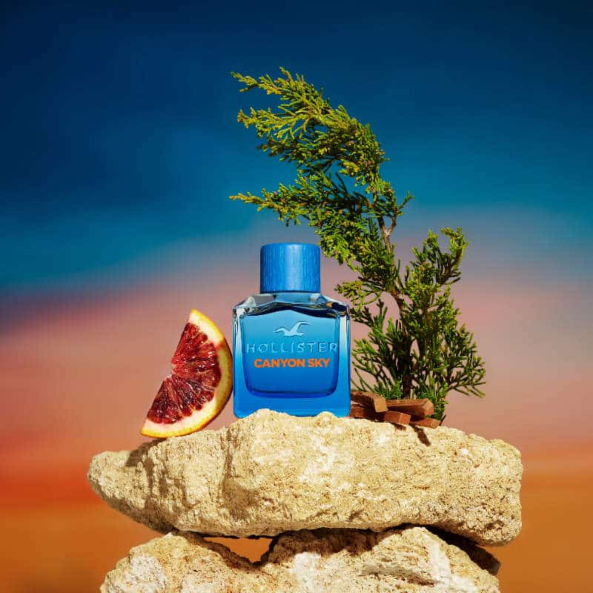 Hollister Canyon Sky For Him Eau de Toilette