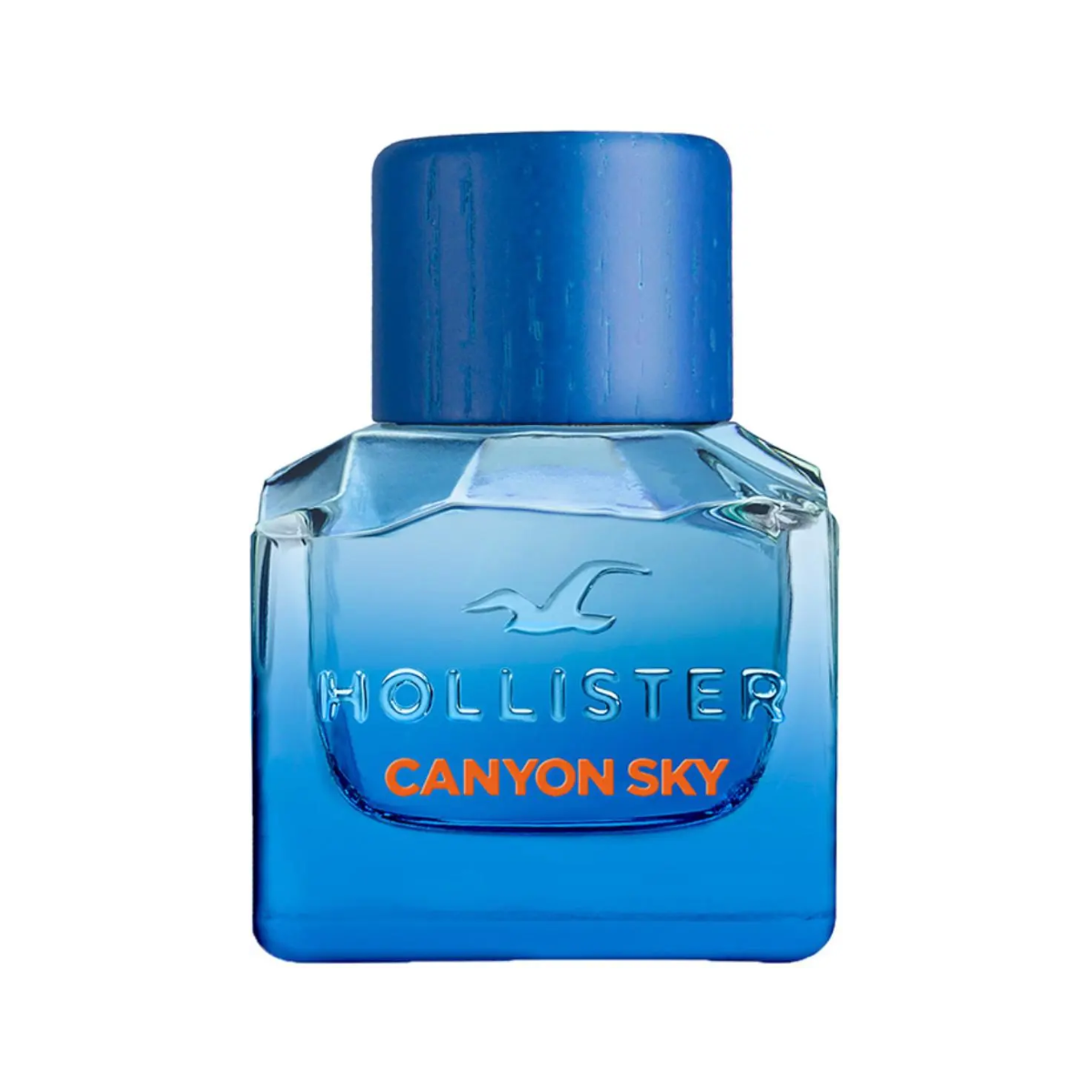 Hollister Canyon Sky For Him Eau de Toilette