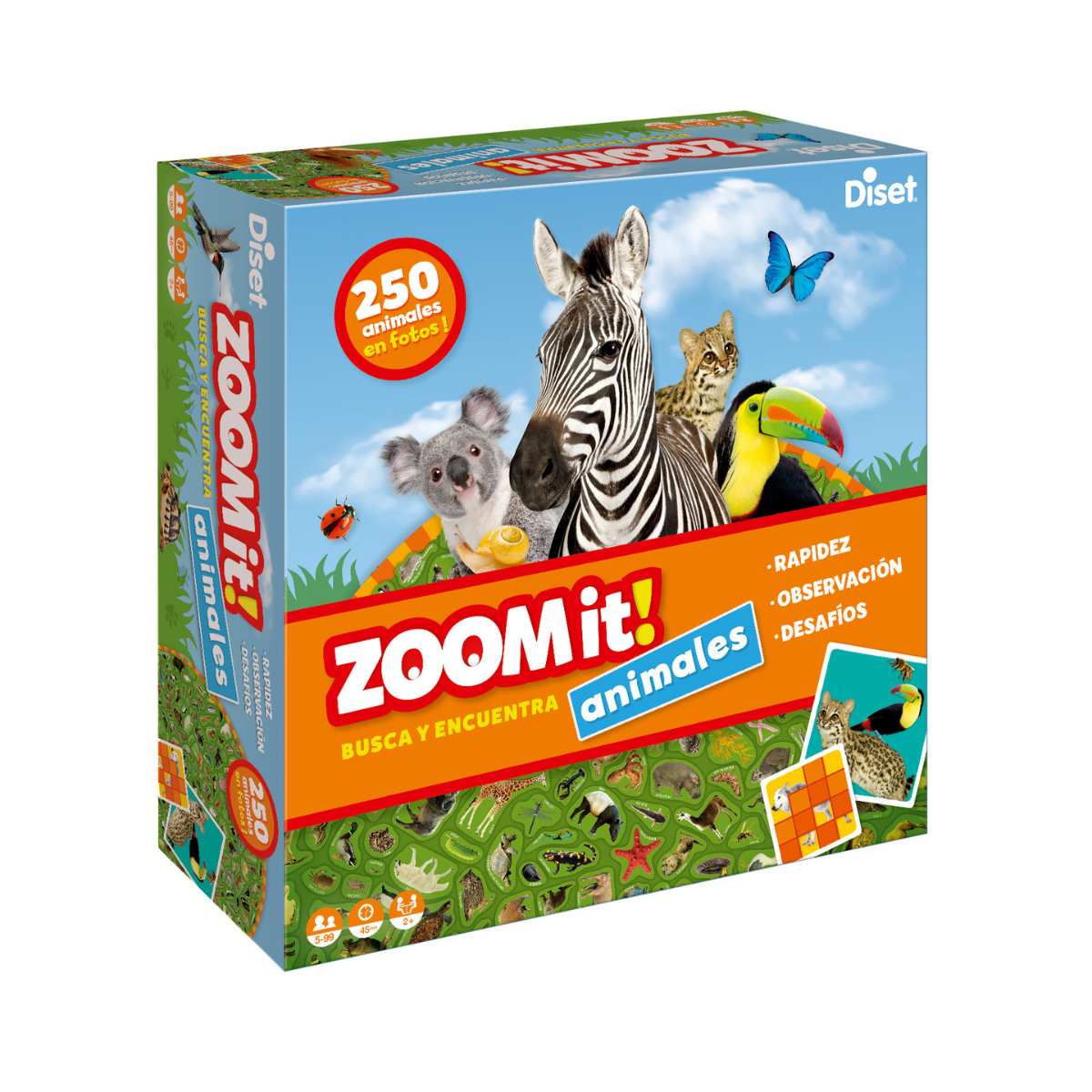 Zoom It