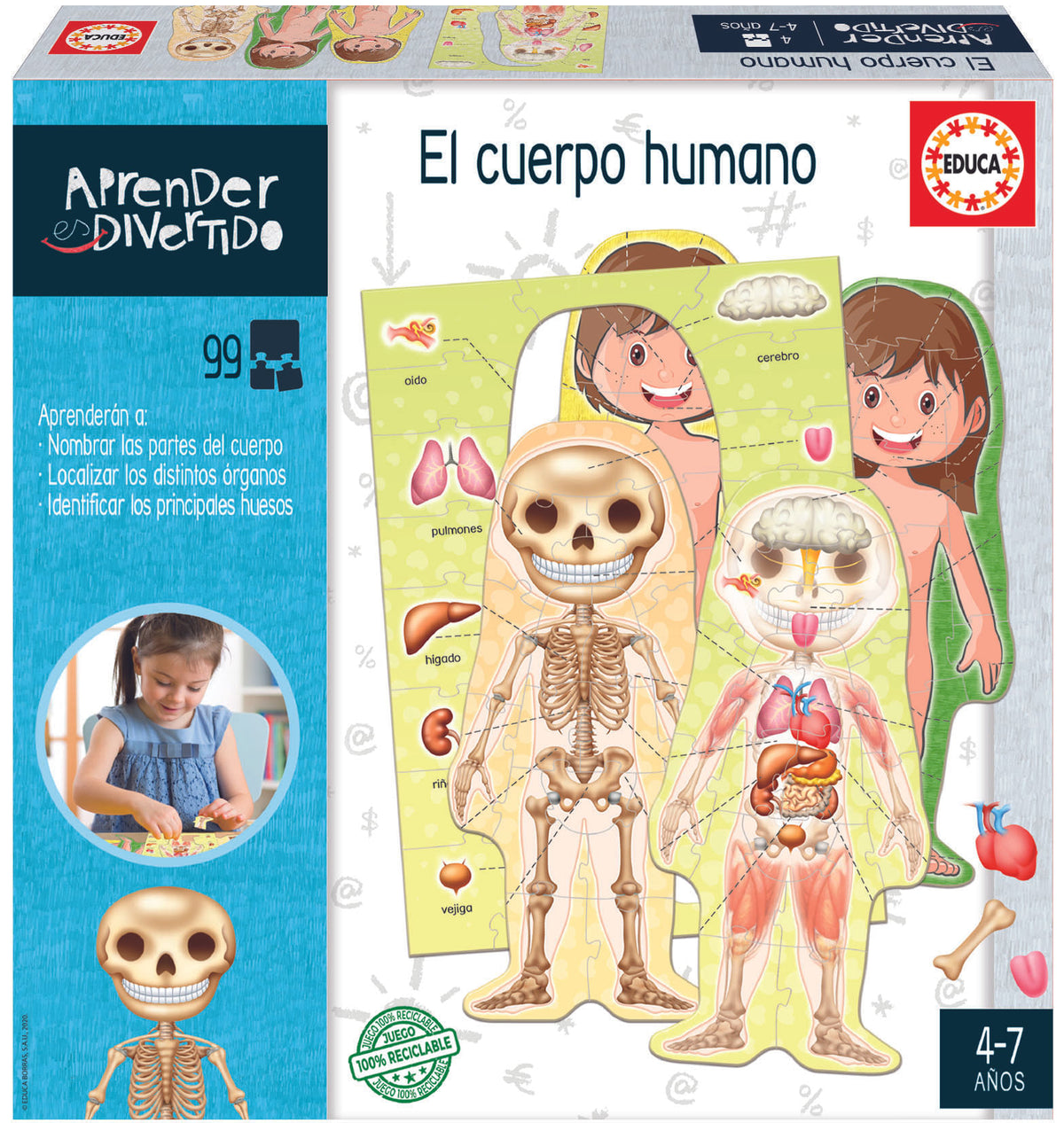 Educa | Aprendo El Cuerpo Humano