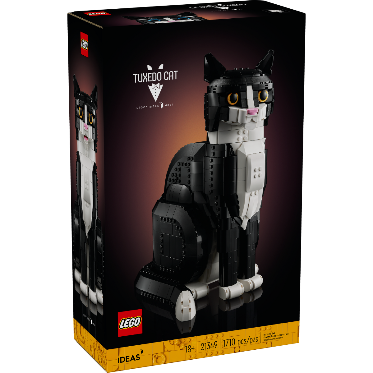 Gato Bicolor