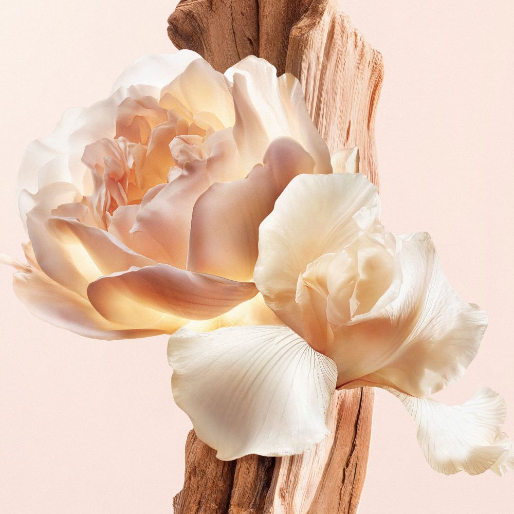 Givenchy | Irresistible Nude Velvet Eau de Parfum
