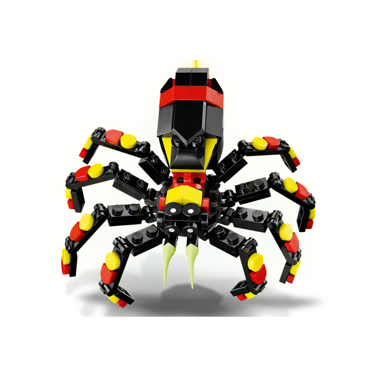 Fauna Salvaje Araña Misteriosa
