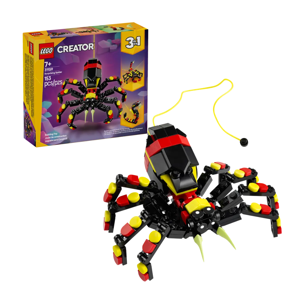 Fauna Salvaje Araña Misteriosa