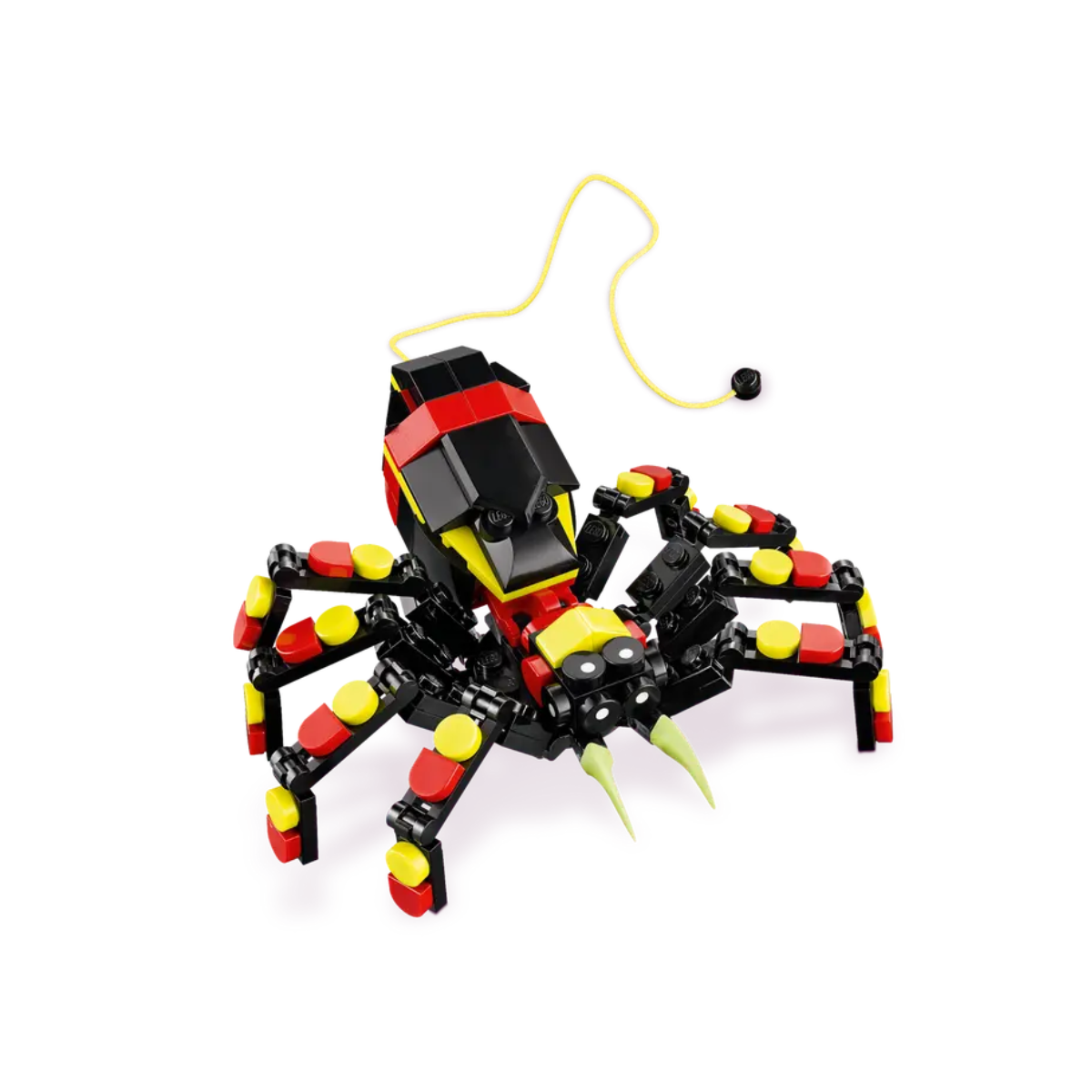 Fauna Salvaje Araña Misteriosa