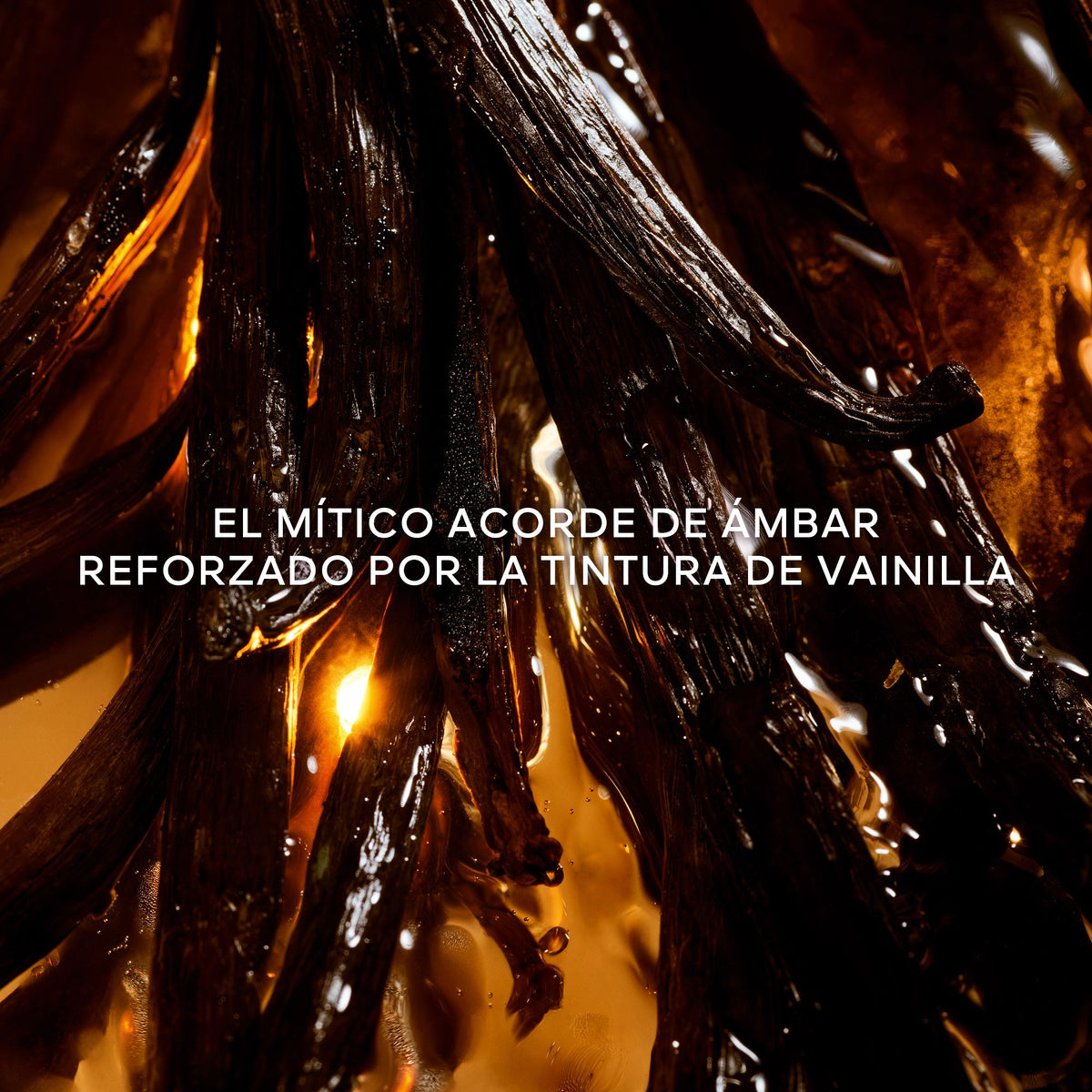 Guerlain | Shalimar L'essence Eau De Parfum Intense