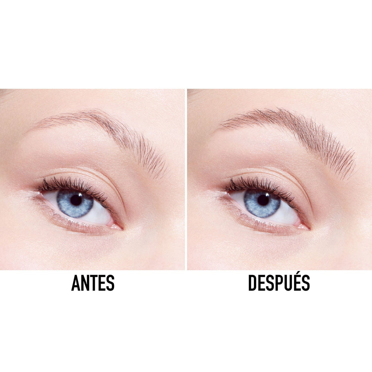 DIOR | Diorshow On Set Brow Máscara de Cejas