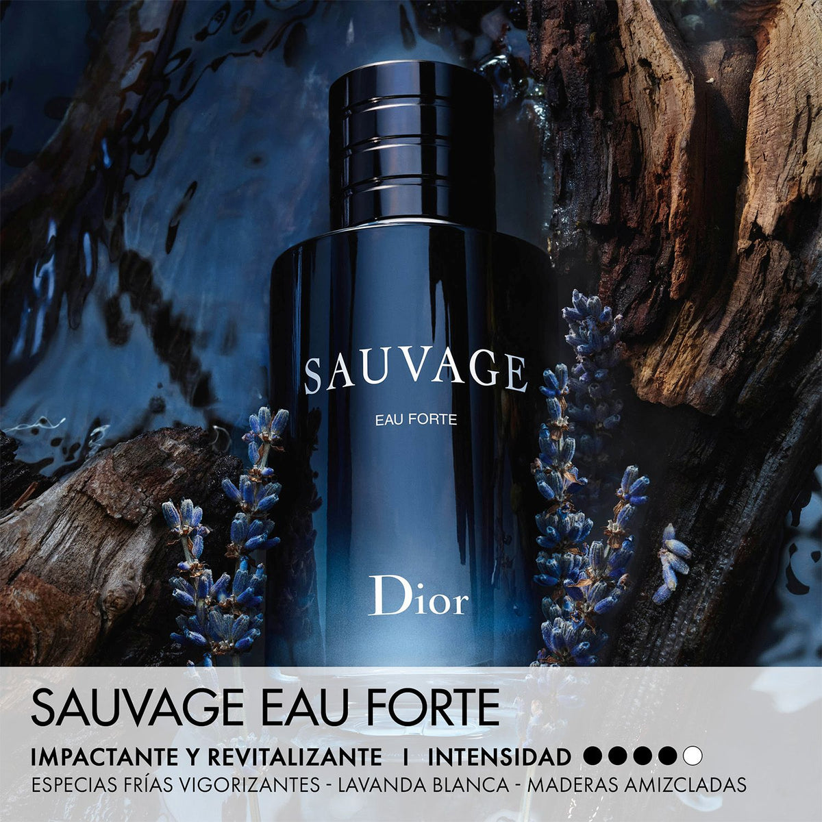 DIOR Sauvage Eau Forte Parfum