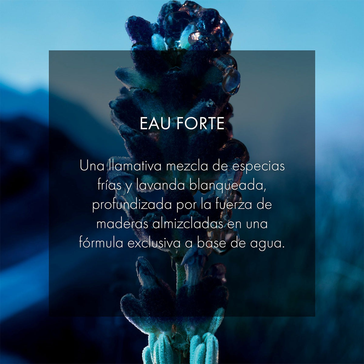 DIOR Sauvage Eau Forte Parfum