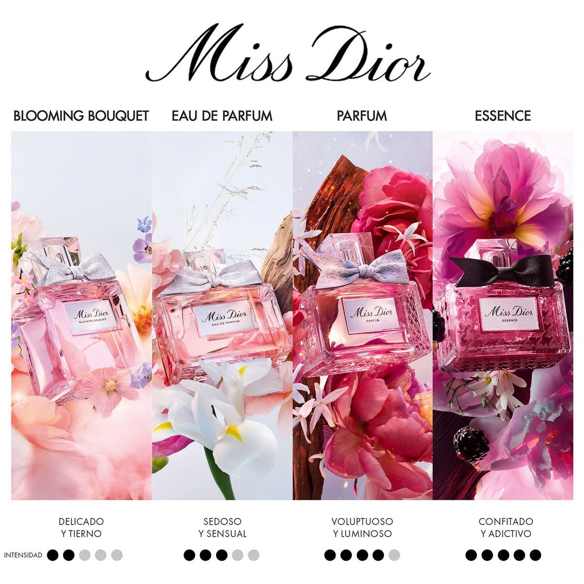 DIOR | Cofre Miss Dior Eau de Parfum Edición Limitada