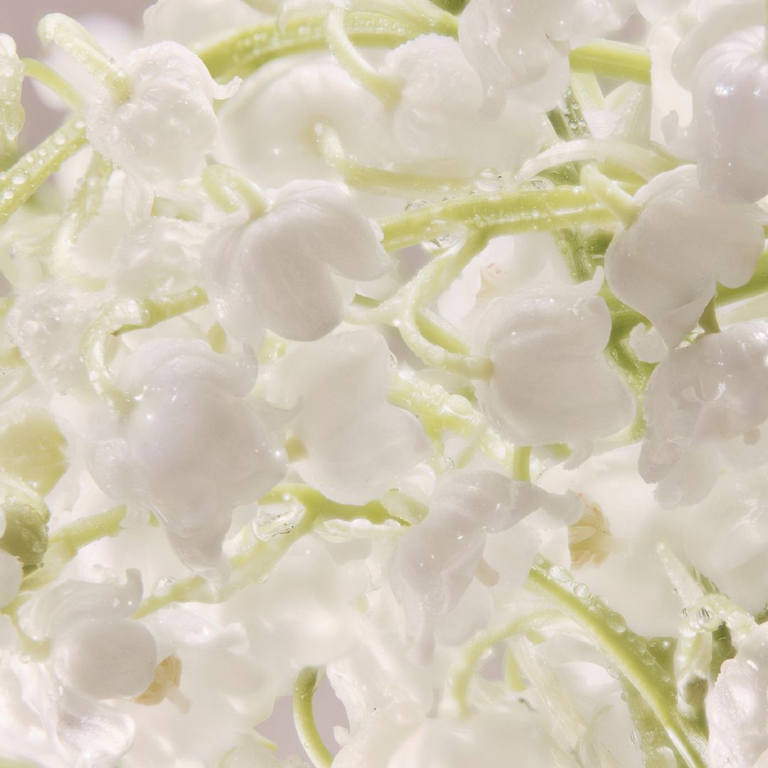 Davidoff | Cool Water Woman Eau De Toilette