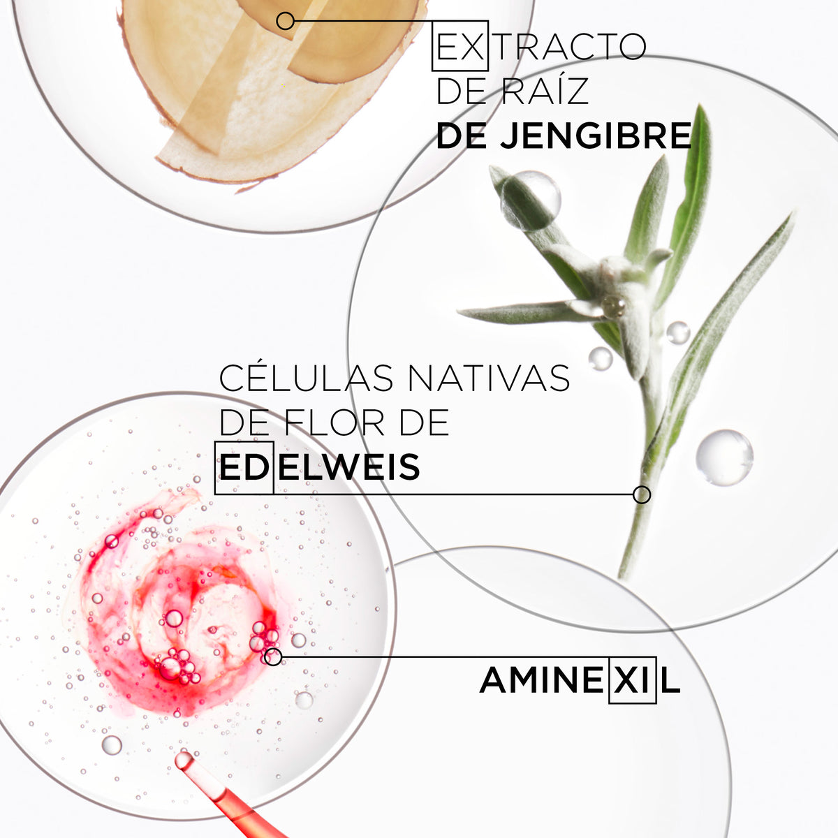Kérastase  | Shampoo Genesis Hydra-Fortifiant anticaída cabello