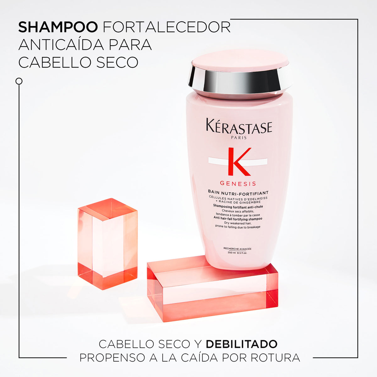 Kérastase  | Shampoo Genesis NutriFortifiant anticaída cabello seco 250ml