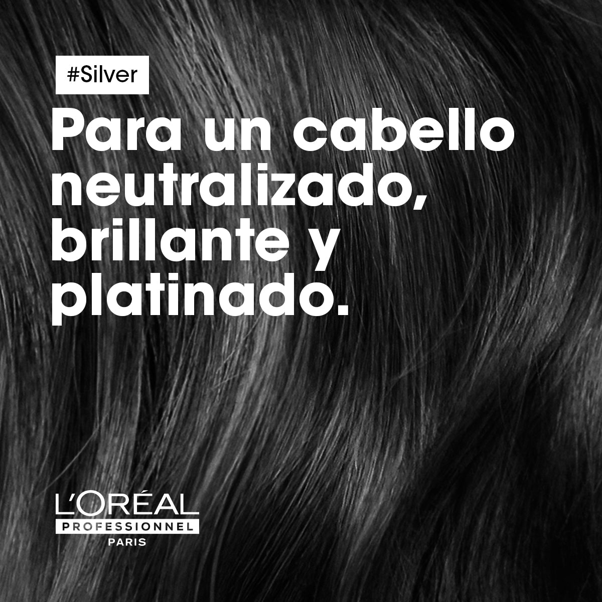 L'Oreal Pro  | Shampoo Silver cuidado del cabello blanco Loreal professionnel 300ml