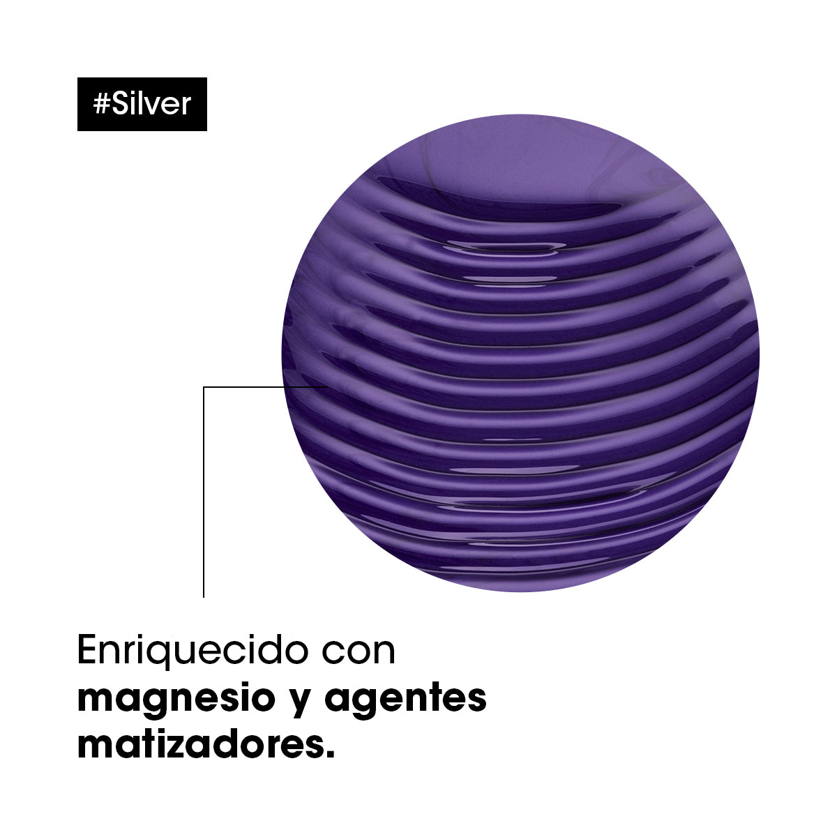 L'Oreal Pro  | Shampoo Silver cuidado del cabello blanco Loreal professionnel 300ml