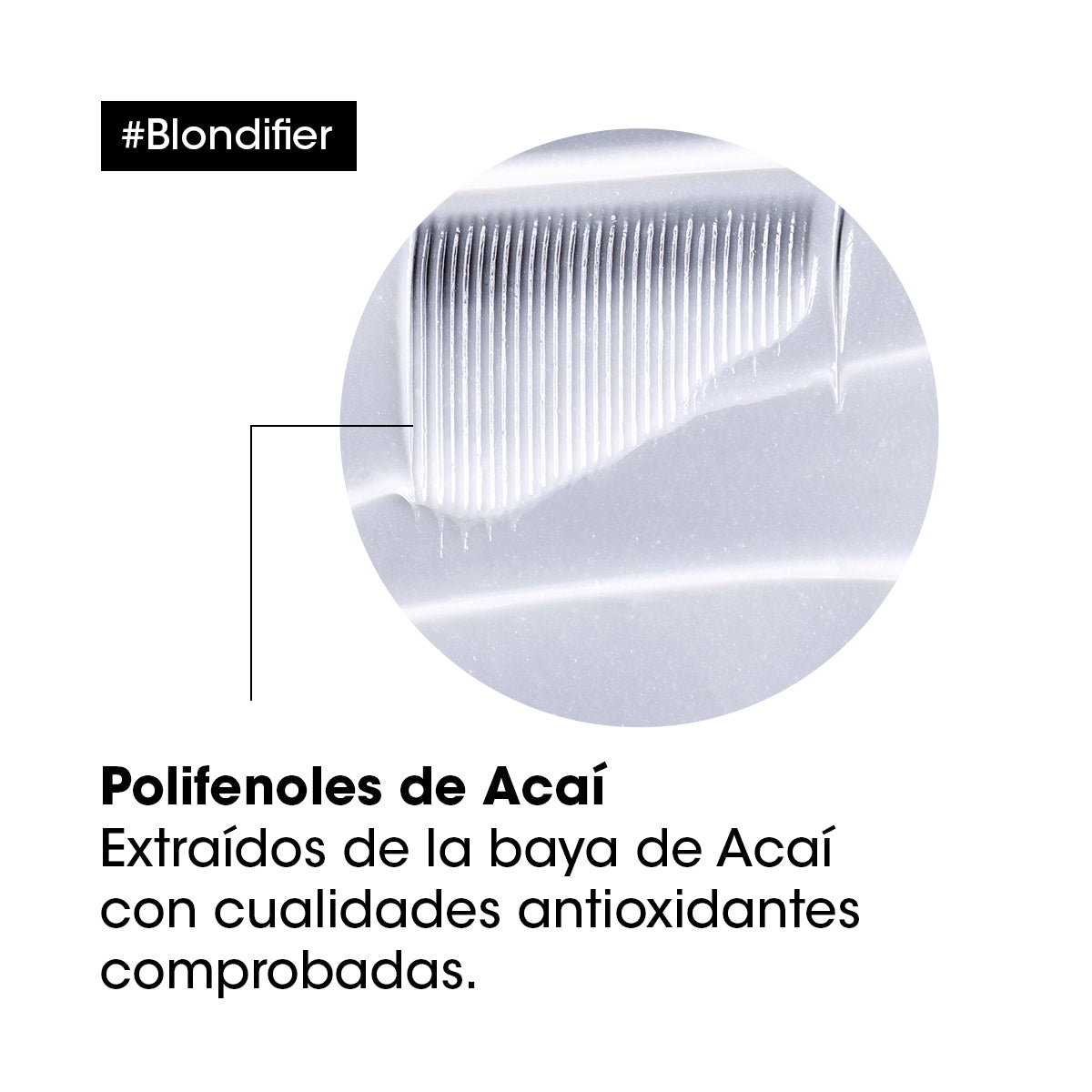 L'Oreal Pro  | Shampoo Blondifier gloss nutrición y cuidado del rubio Loreal professionnel 300ml