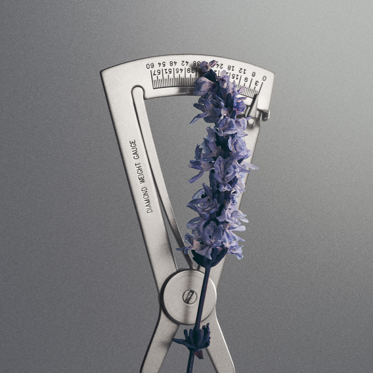 Creed | Iris Debonair Eau de Parfum