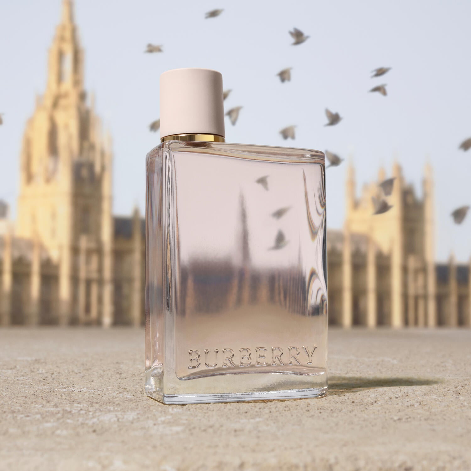 Burberry | Her Eau de Parfum - Felix Online