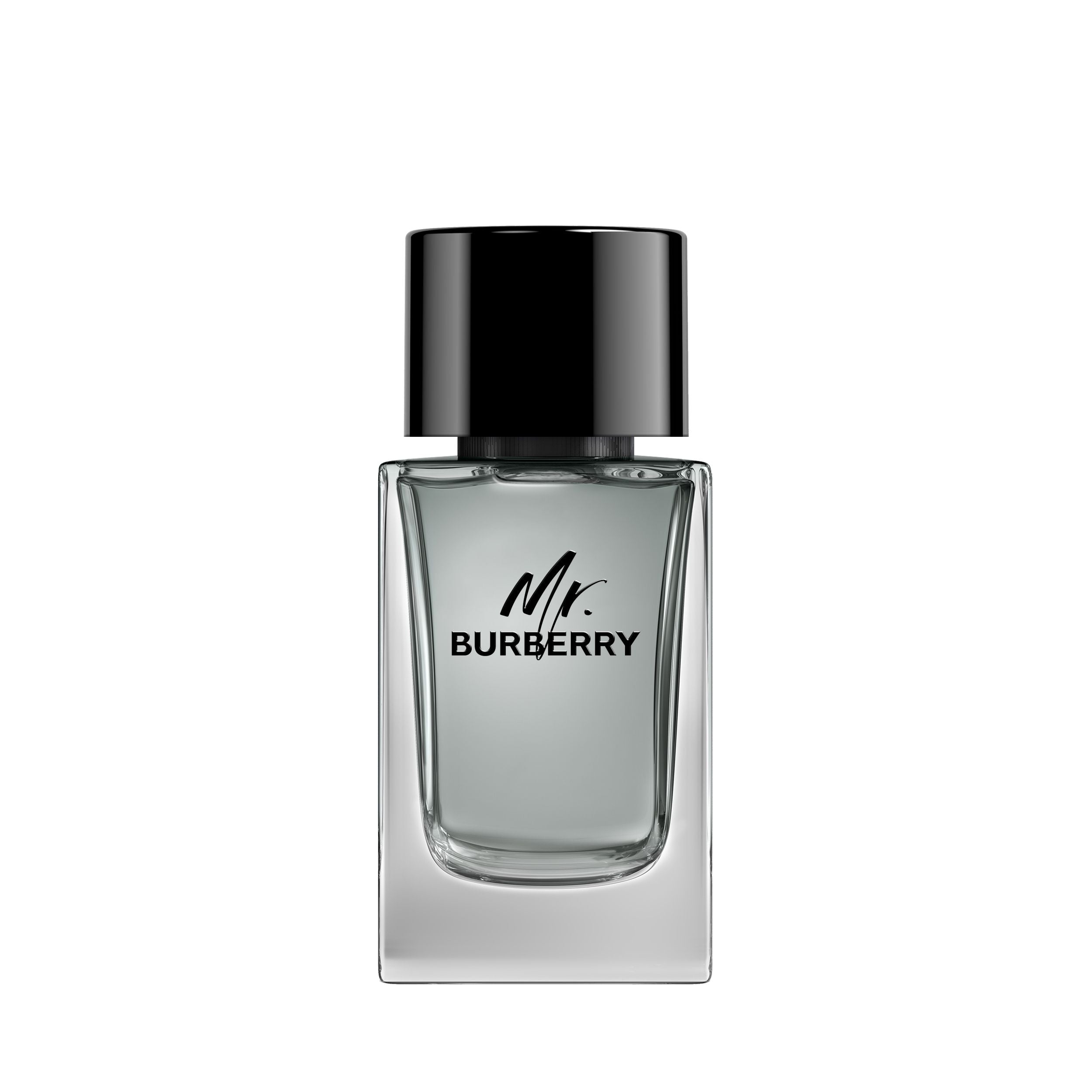 Burberry | Mr Burberry Eau De Toilette - Felix Online