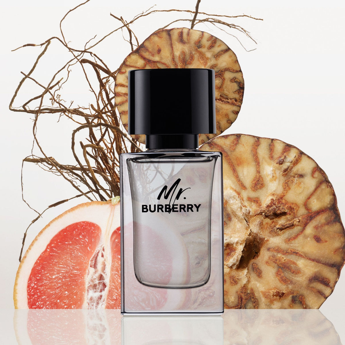 Burberry | Mr Burberry Eau De Toilette