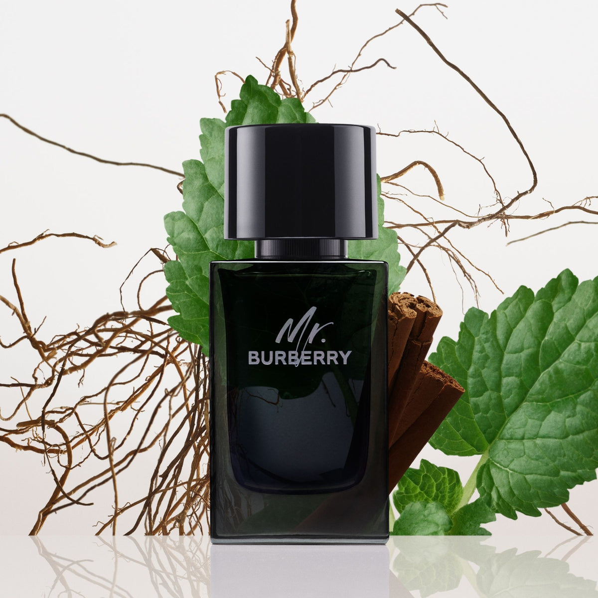 Burberry | Mr. Burberry Eau de Parfum