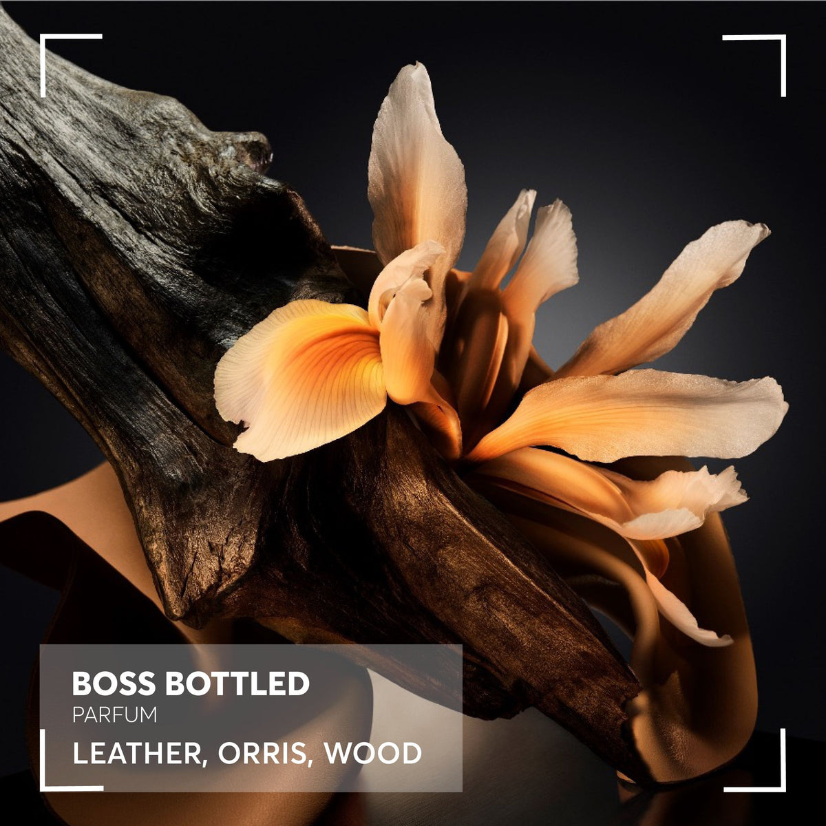 Boss | Bottled Parfum