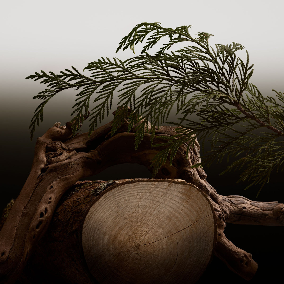 Burberry | Hero Parfum