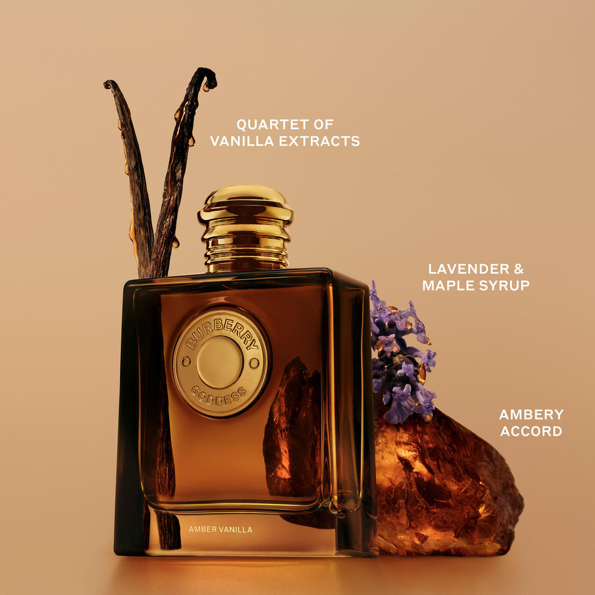 Burberry | Burberry Goddess Amber Vanilla